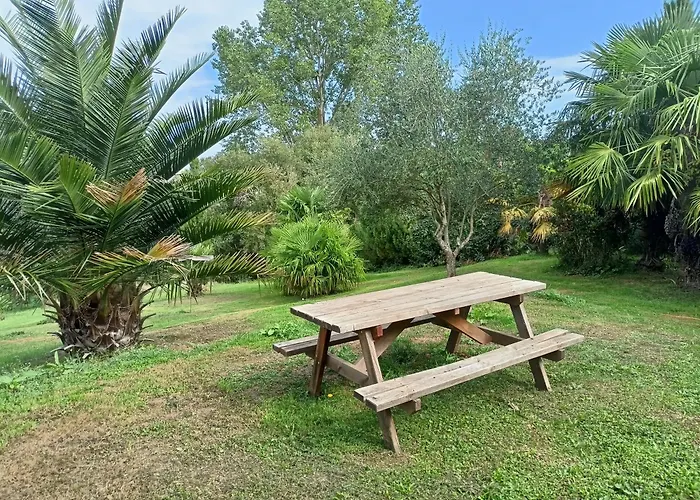 לינה וארוחת בוקר Triple